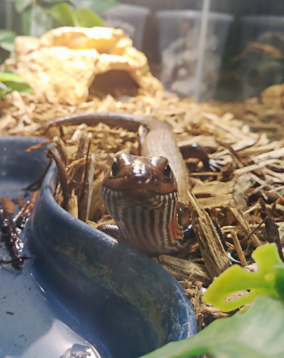 Pet Supply Store «CountryMax - Geneseo», reviews and photos, 4101 Lakeville Rd, Geneseo, NY 14454, USA