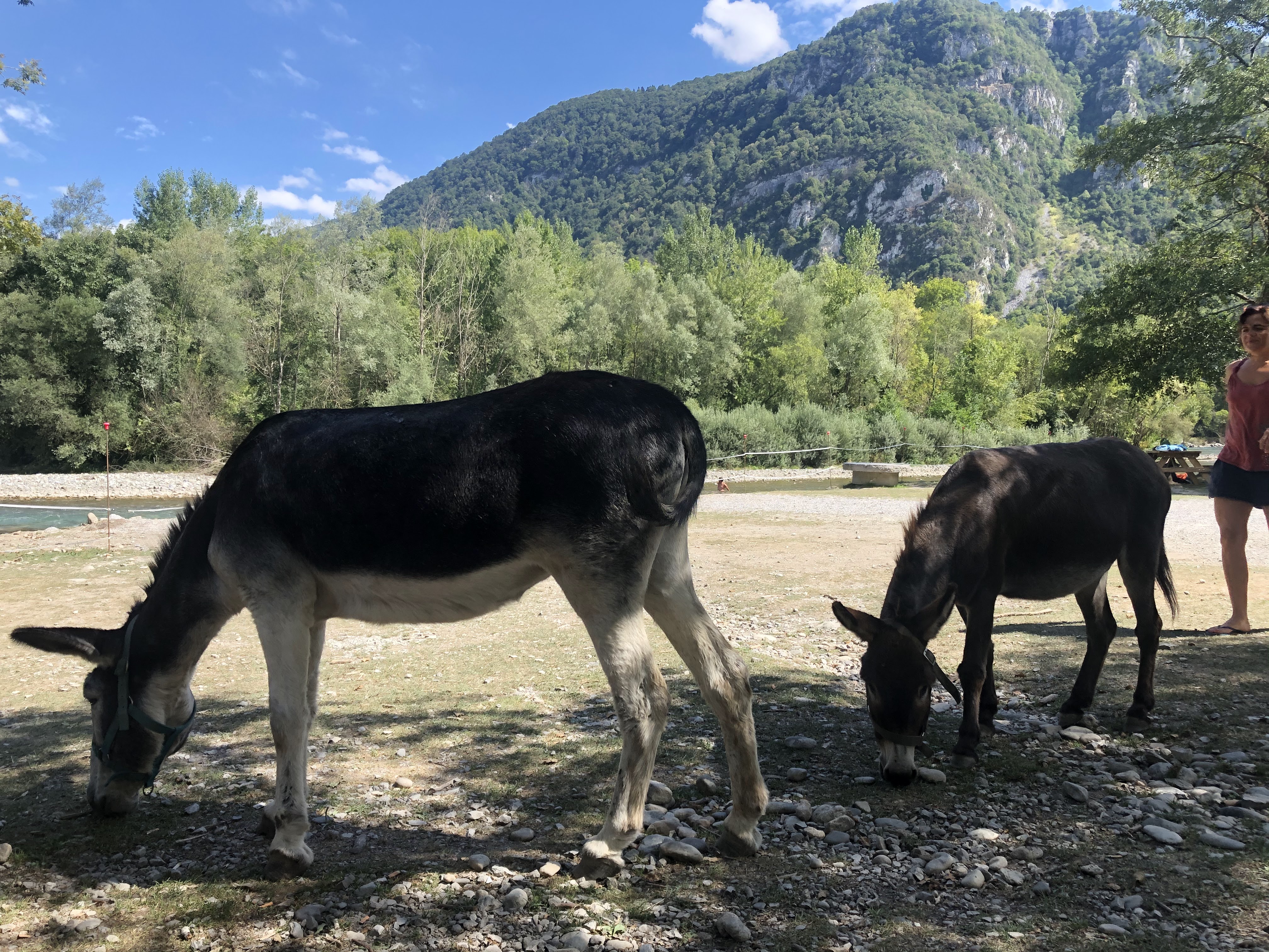 Photo n° 4 de l'avis de Eyma.O fait le 26/08/2020 à 12:16