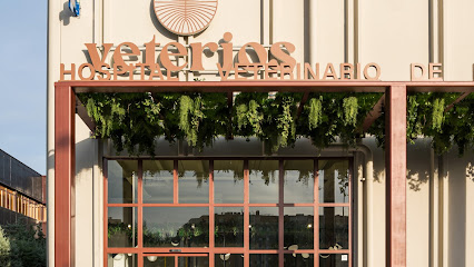 Hospital Veterinario de Referencia Veterios Foto