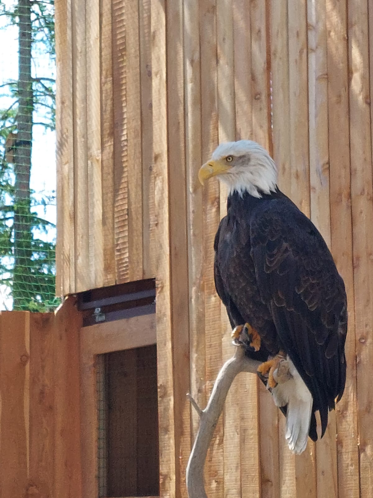 Photo n° 4 de l'avis de Anthony.a fait le 26/04/2022 à 14:57