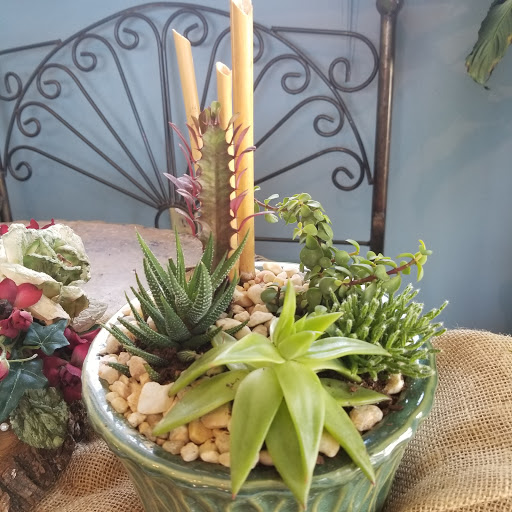 Florist «Merrimon Florist Inc», reviews and photos, 329 Merrimon Ave, Asheville, NC 28801, USA