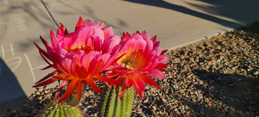 Golf Club «Foothills Golf Club», reviews and photos, 2201 E Clubhouse Dr, Phoenix, AZ 85048, USA