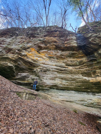 Thrift Store «Goodwill Store & Donation Center in Evanston», reviews and photos, 1916B Dempster St, Evanston, IL 60202, USA