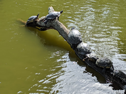 Park «George C. McGough Nature Park - The Narrows», reviews and photos, 11901 146th St N, Largo, FL 33774, USA