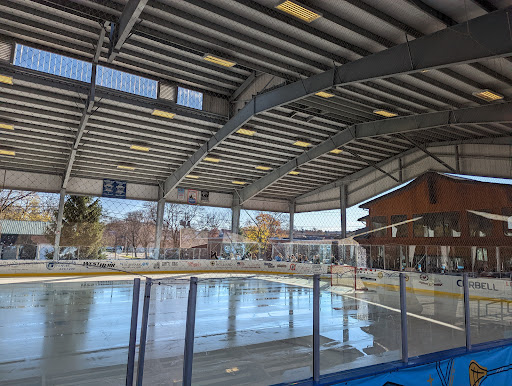 The Healthy Zone Rink