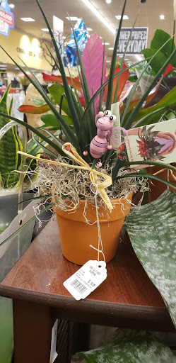 Grocery Store «Safeway», reviews and photos, 90 S Val Vista Dr, Gilbert, AZ 85296, USA