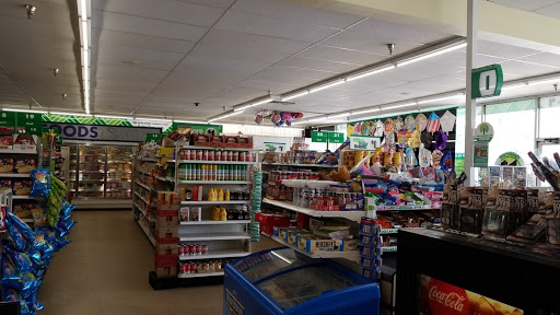 Dollar Store «Dollar Tree», reviews and photos, 330 Connecticut Ave #7, Norwalk, CT 06854, USA