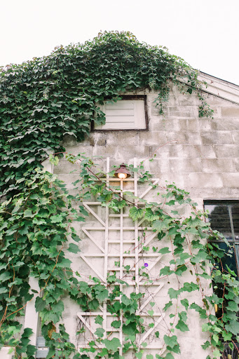 Wedding Venue «Sundance Studios», reviews and photos, Territorial Rd, Benton Harbor, MI 49022, USA