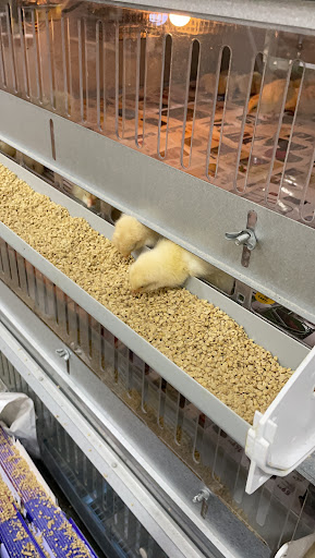 Agricultural Service «IFA Country Stores», reviews and photos, 562 N 900 W, American Fork, UT 84003, USA