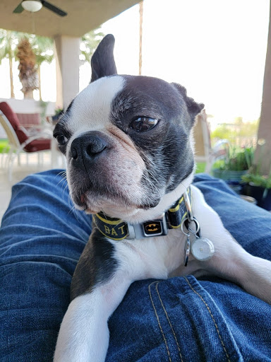 Park «Pueblo Park», reviews and photos, Peublo Vista Dr, Las Vegas, NV 89128, USA