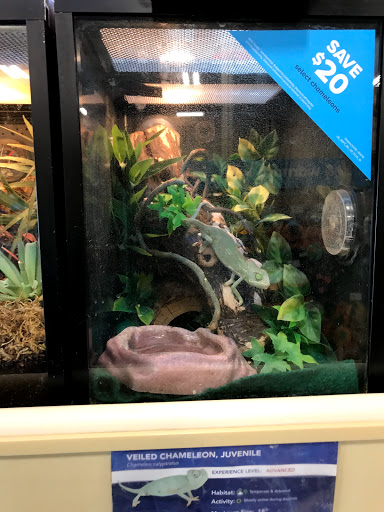 Pet Supply Store «PetSmart», reviews and photos, 24 Countryside Plaza, Countryside, IL 60525, USA