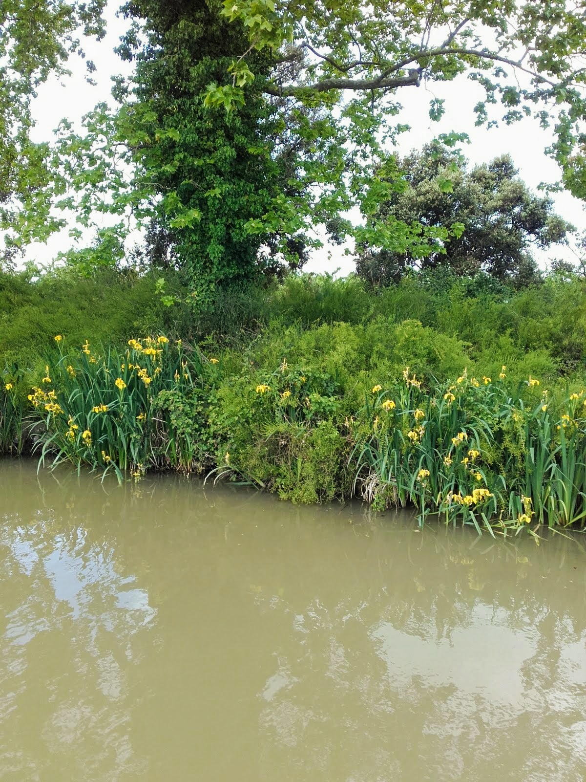 Photo n° 1 de l'avis de elisabeth.s fait le 17/05/2019 à 19:06
