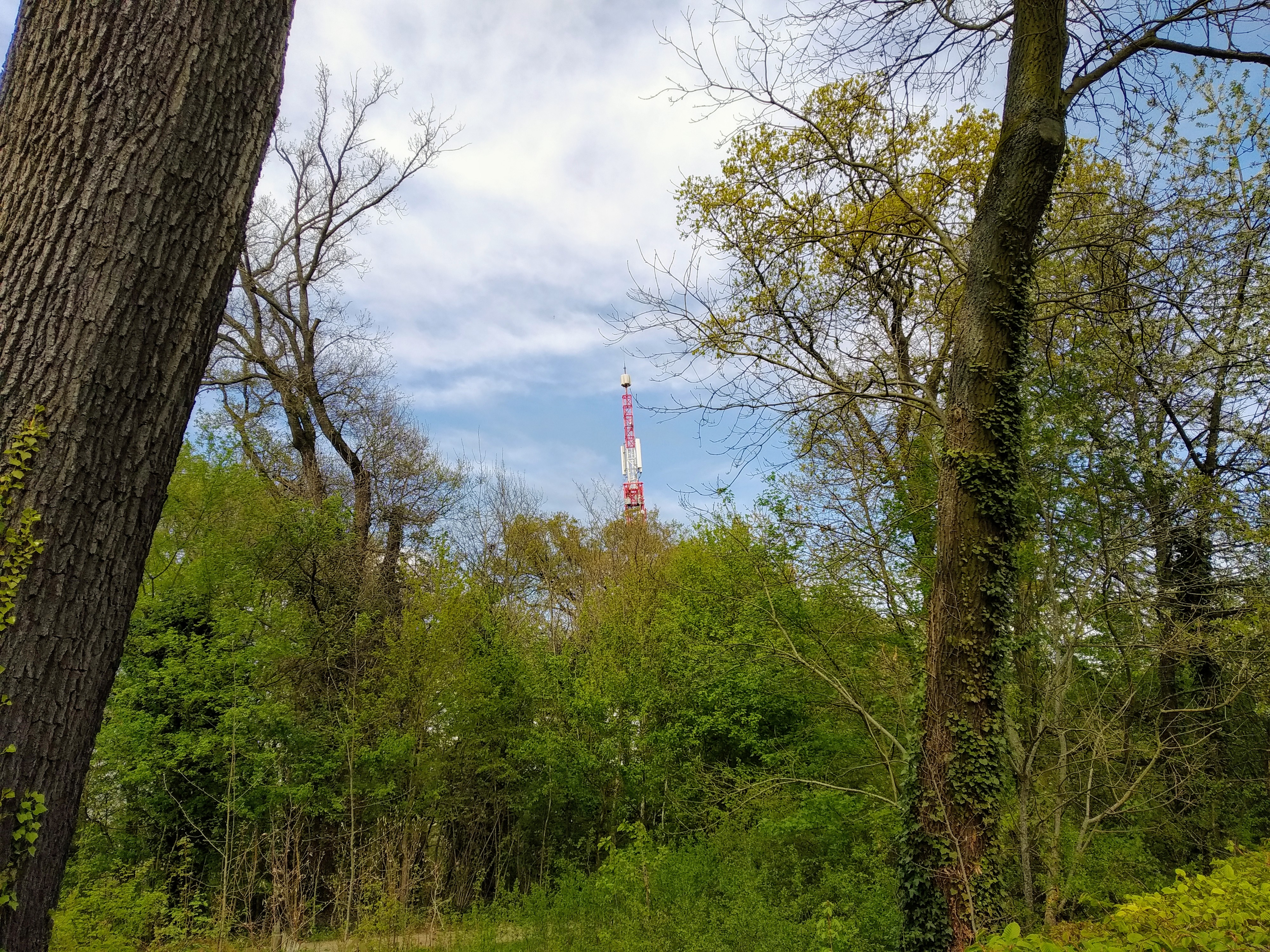 Photo n° 11 de l'avis de Techno.h fait le 06/04/2019 à 16:48