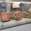 Jackie Seafood Market