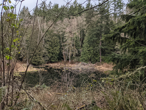 Park «Lord Hill Park», reviews and photos, 12921 150th St SE, Snohomish, WA 98290, USA