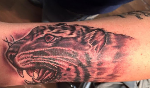 Explore lizard tattoo ideas, creative tattoo ideas in Mesa, available at Ranger Tattoo & Piercing