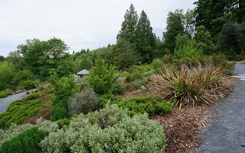 Pacific Connections Gardens at Washington Park Arboretum image