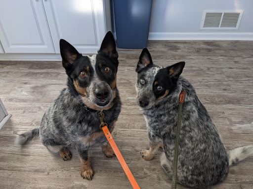 North M-18 Veterinary Clinic image