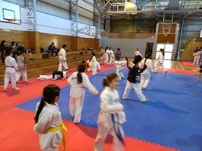 Gimnasio Esc. 7 - Teakwondo