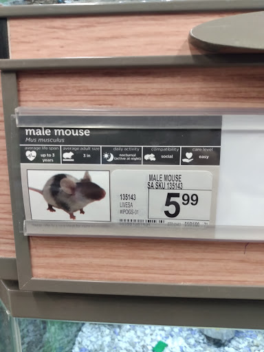 Pet Supply Store «Petco Animal Supplies», reviews and photos, 2241 Porter Creek Dr, Fort Worth, TX 76177, USA