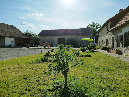 Centre équestre Cheval and co Argent-sur-Sauldre
