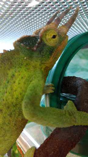 Pet Supply Store «Petco Animal Supplies», reviews and photos, 3731 Gateway Dr, Eau Claire, WI 54701, USA