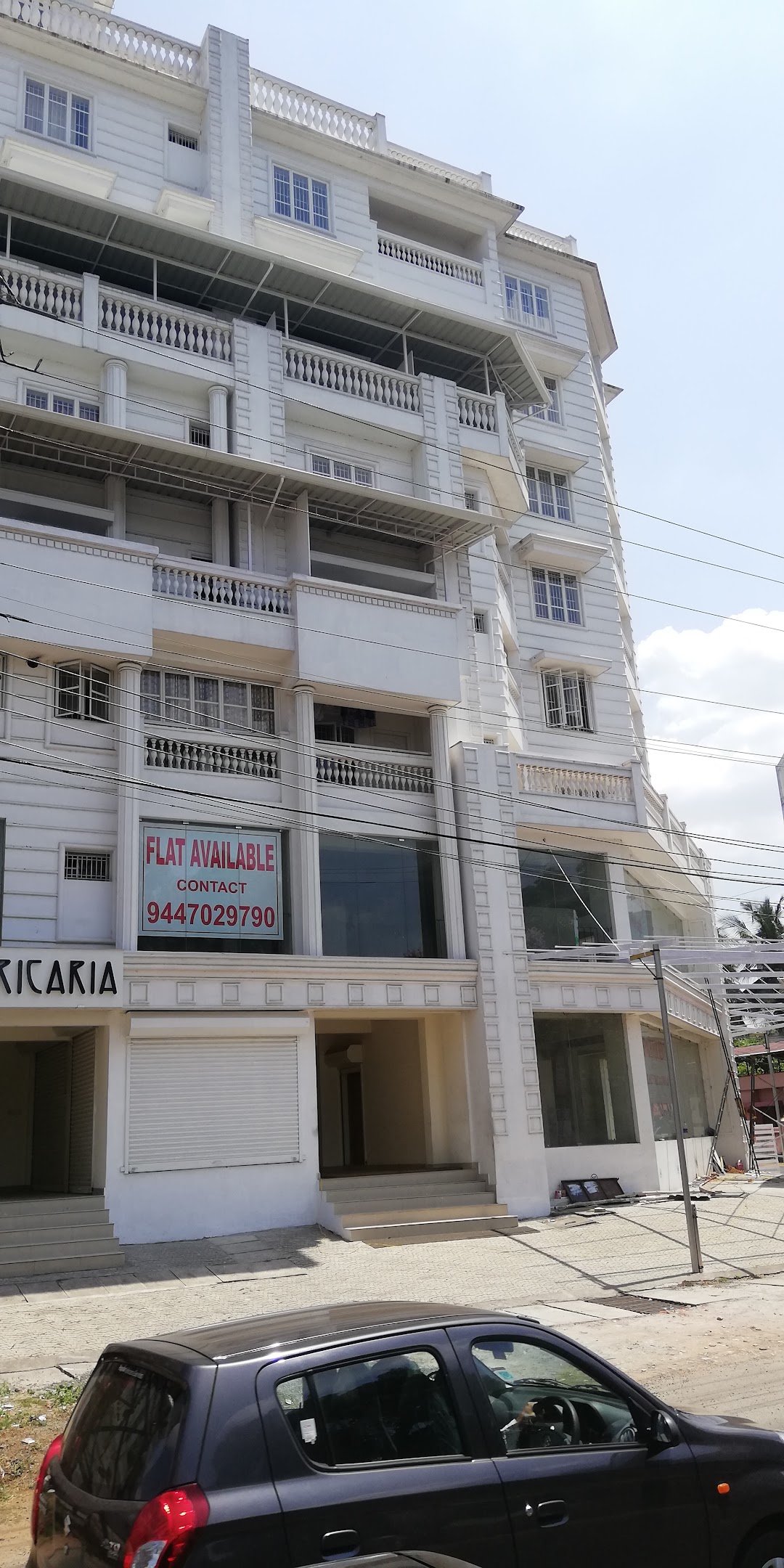 Aricaria Developers