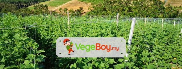 VegeBoy Malaysia