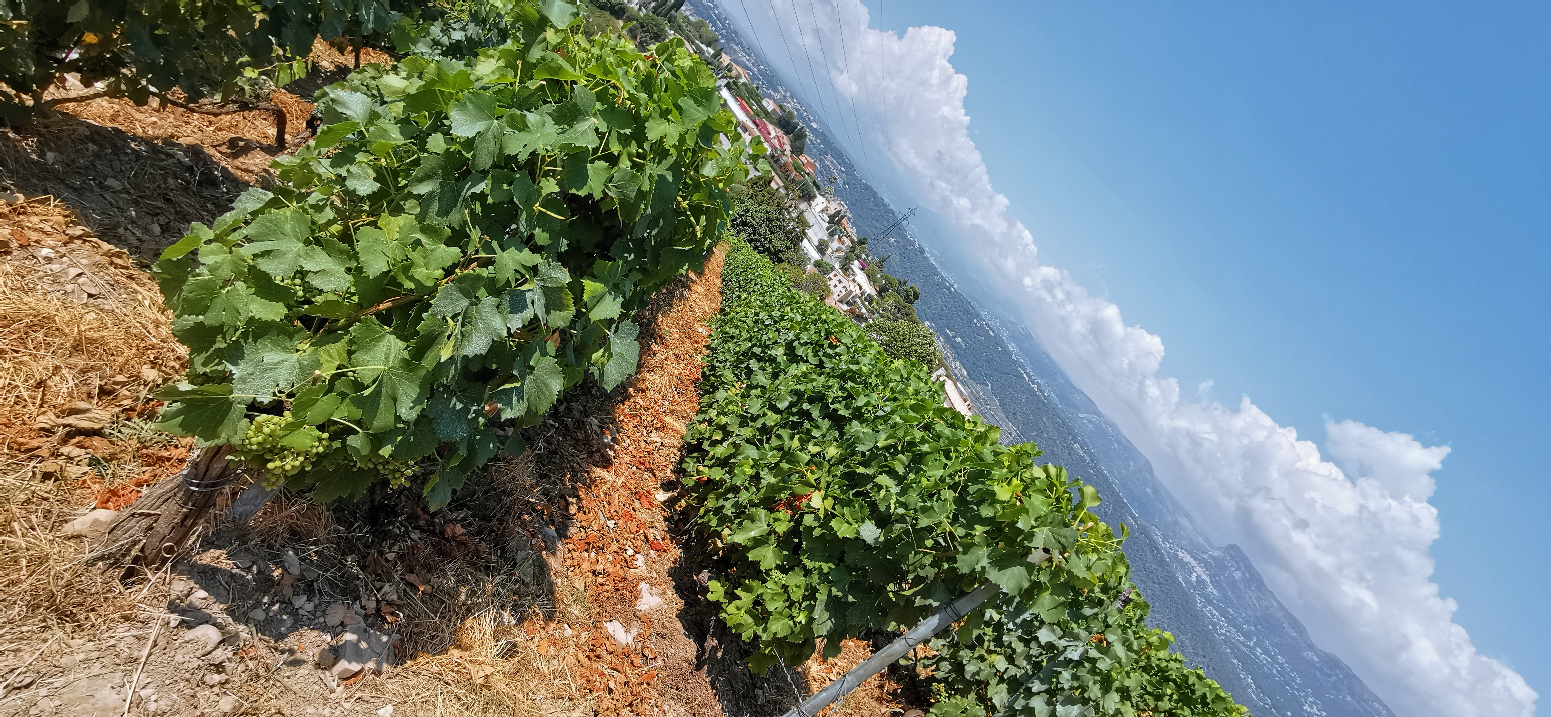 Photo n° 2 de l'avis de Marius.� fait le 29/07/2019 à 08:12