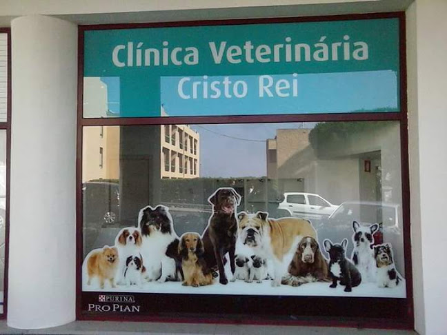 CLÍNICA VETERINÁRIA CRISTO REI - Veterinário
