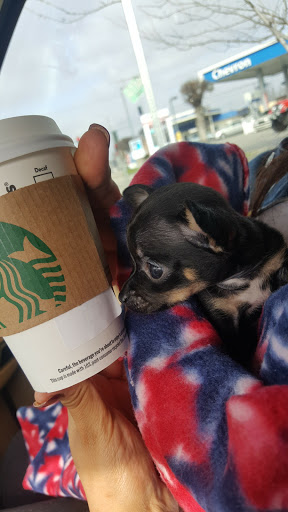 Coffee Shop «Starbucks», reviews and photos, 224 N Ham Ln, Lodi, CA 95242, USA