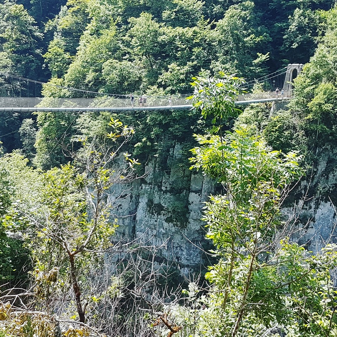 Photo n° 4 de l'avis de Aurelie.h fait le 22/07/2021 à 16:41