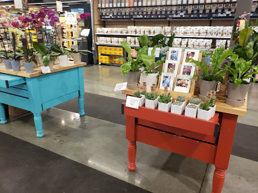 Grocery Store «Whole Foods Market», reviews and photos, 390 Coddingtown Mall, Santa Rosa, CA 95401, USA