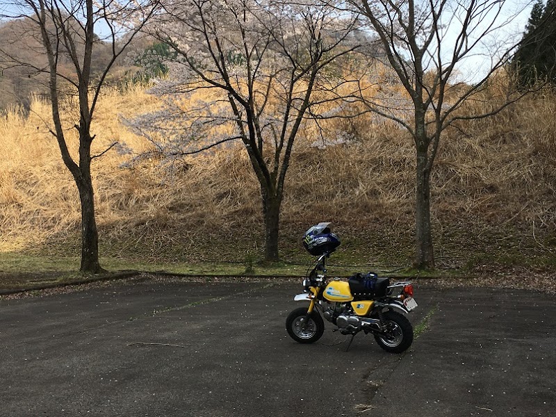 農村公園駐車場