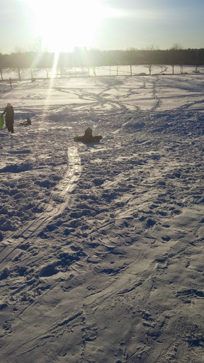 Park «Danehy Park», reviews and photos, 99 Sherman St, Cambridge, MA 02138, USA