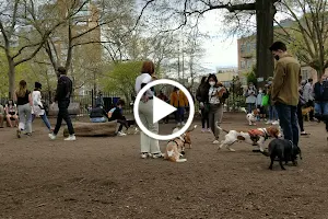 McCarren Park Dog Run image