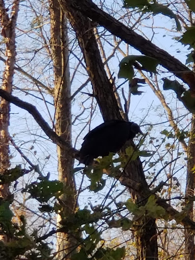 Vaporizer Store «Tobacco N Vape», reviews and photos, 5731 Crain Hwy, Upper Marlboro, MD 20772, USA