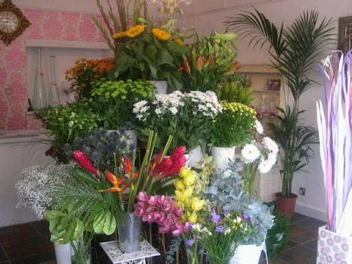 Sarahkellys Flowerroom