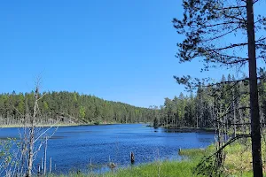 Isojärvi national park image