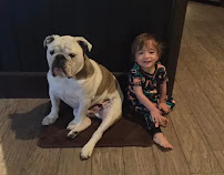 Lubbock Family Dog Training - Photo 9 - Car repair in Lubbock, TX, Lubbock