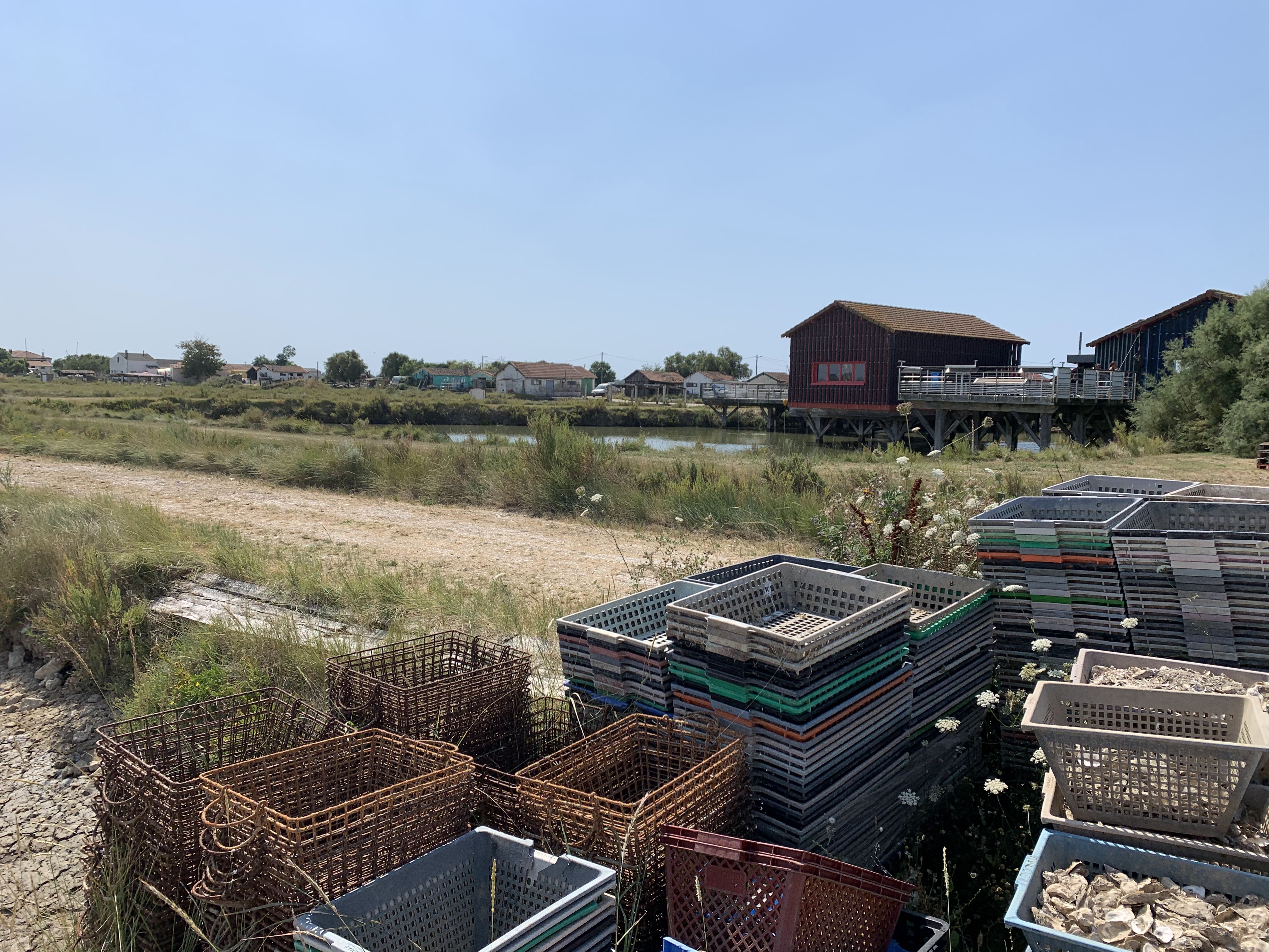 Photo n° 3 de l'avis de Teddy.o fait le 25/07/2020 à 14:43