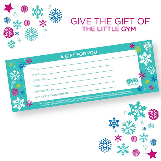 Gymnastics Center «The Little Gym of Pittsburgh-South Hills», reviews and photos, 3909 Washington Rd #205, McMurray, PA 15317, USA