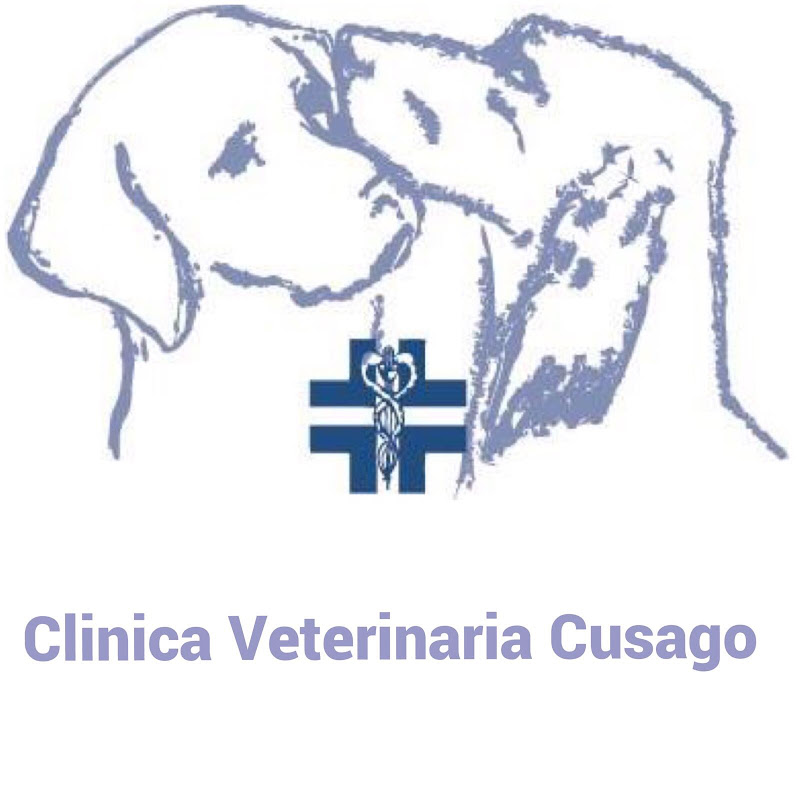 Clinica Veterinaria Cusago