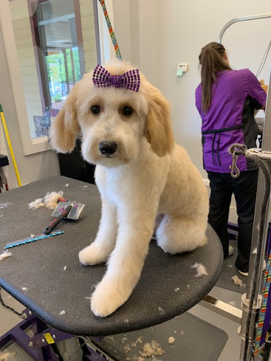 Pet Groomer «Fetching Styles, LLC», reviews and photos, 90 Foothills Pkwy c202, Marble Hill, GA 30148, USA