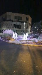 Photo n°162 de Arcachon 1900 à Arcachon ()