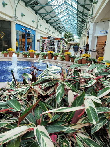 Department Store «JCPenney», reviews and photos, 231 Greece Ridge Center Dr, Greece, NY 14626, USA