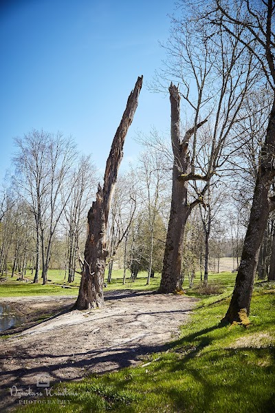 Photos of Spāres muižas parks