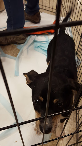 Pet Supply Store «PetSmart», reviews and photos, 2347 N Telegraph Rd, Monroe, MI 48162, USA