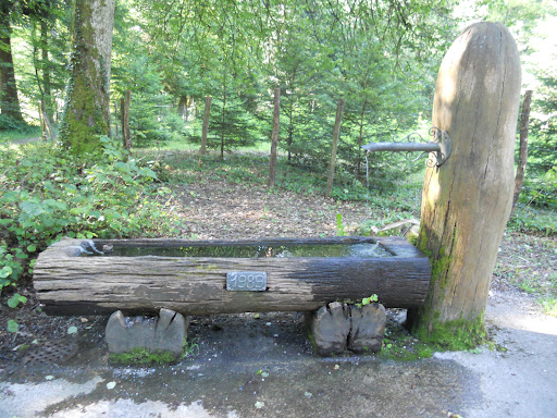 site_photo3