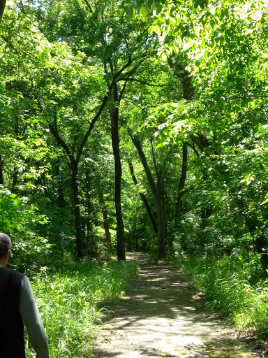 Roofing Contractor «All Weather Roofing - A Denton Roofer», reviews and photos, 2396 Riverside Dr, Denton, TX 76208, USA